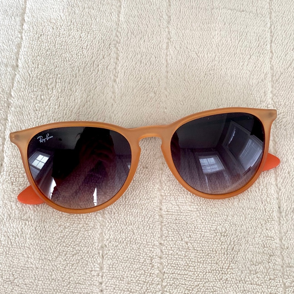 Ray-Ban Erika Sunglasses
